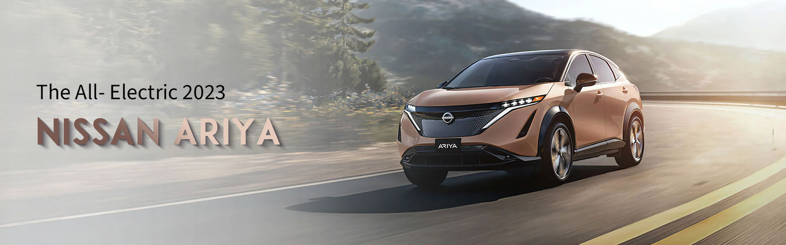 kwaliteit Dongfeng EV-auto fabriek