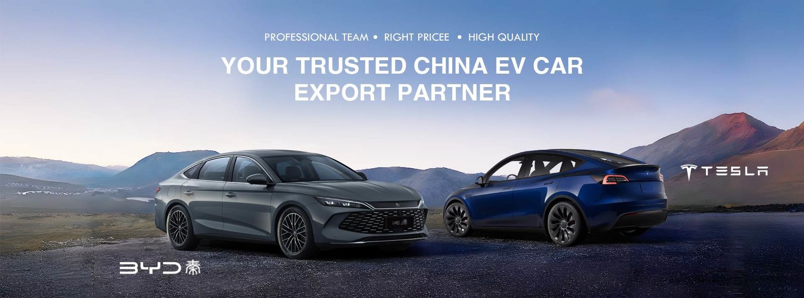 kwaliteit Dongfeng EV-auto fabriek
