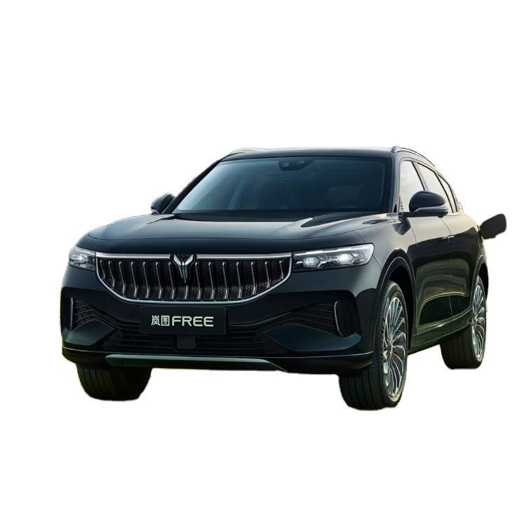 100kW Voyah Dreamer MPV Pure Electric Suv 3m New Energy Vehicles 2023