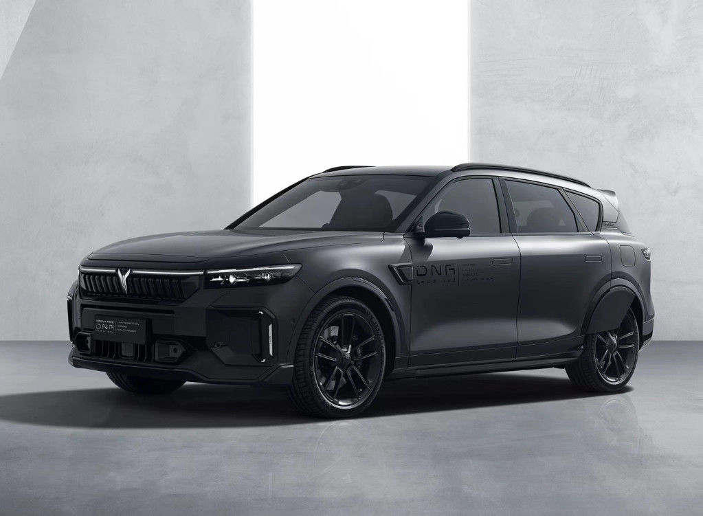 100kW Voyah Dreamer MPV Pure Electric Suv 3m New Energy Vehicles 2023