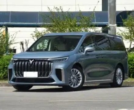 50km Range VOYAH Dreamer 2023 Dongfeng Ev Cars 6-8h Charging Time