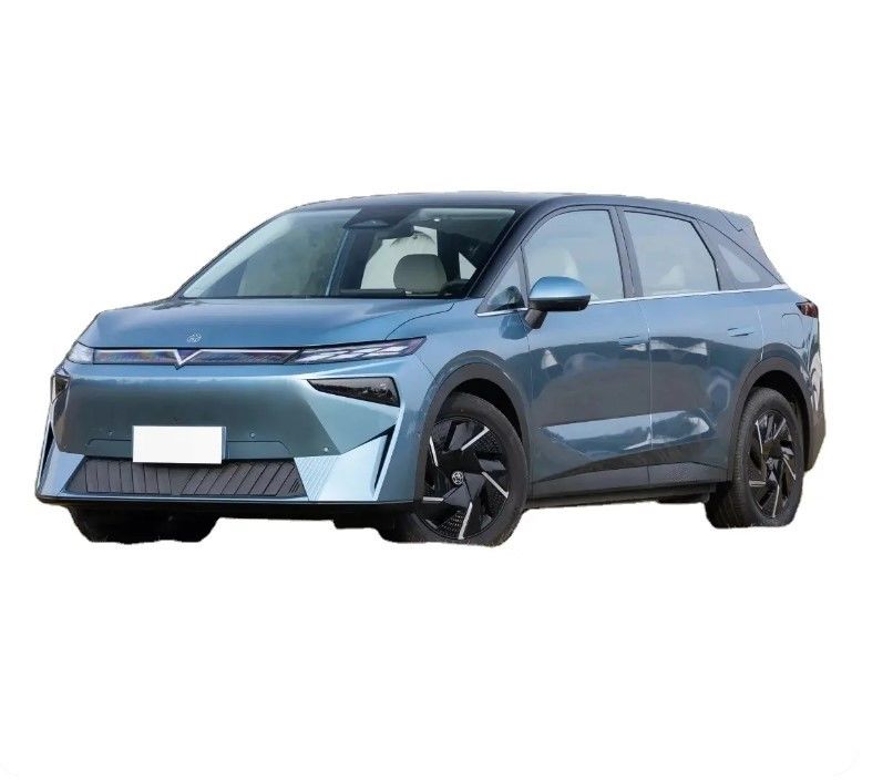 5 Passengers New Energy Vehicles Qichen VX6 Venucia Electric Car For Adult